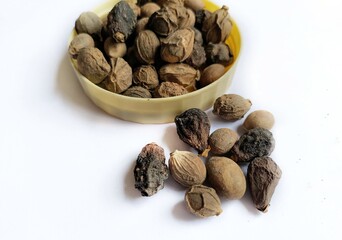 Dried Fruits of Gambhari (Gmelina arborea) commonly known as Chandahara tree, Goomer teak is a...