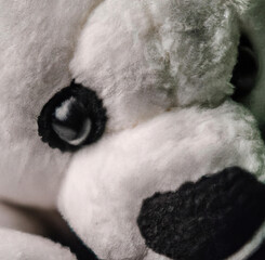 Close up of white teddy bear on white background created using Generative AI technology