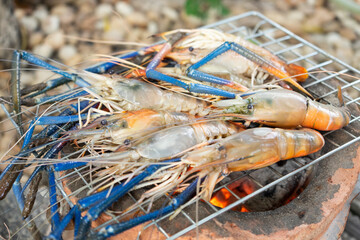 Fresh river prawns grilled over charcoal fire.