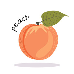 Vector illustration of a ripe fresh peach. Fruit illustration in flat style isolated on white background.