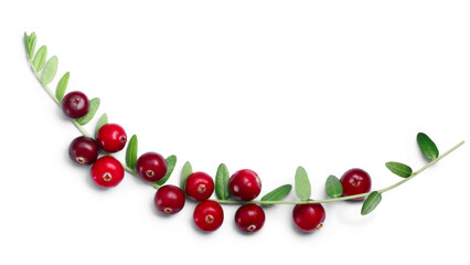 Cranberries (fruits of Vaccinium oxycoccus) with leaves, top view isolated png - obrazy, fototapety, plakaty