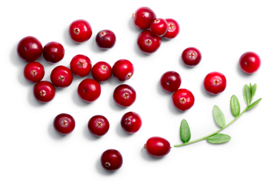 Cranberries (fruits of Vaccinium oxycoccus) with leaves, top view isolated png