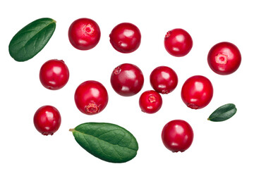 Lingonberry (fruits of Vaccinium vitis-idaea), top view isolated png