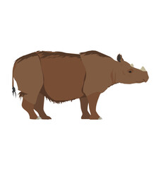 Obraz na płótnie Canvas Sumatran rhinoceros seen in Side view - Flat vector