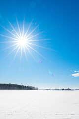 Fototapete bei efototapeten.de bestellen   