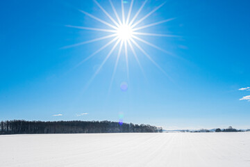 Fototapete bei efototapeten.de bestellen   