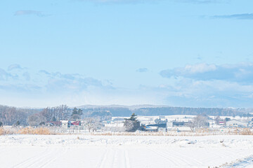 Fototapeta na wymiar 冬の北海道の風景