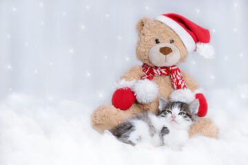 Smal kitten is napping next to a toy teddy bear in a Santa Claus hat. Tiny Kitten on a light background.  2023. Baby cat. New Year's card with a little Kitten. Happy New Year. Winter. Merry Christmas