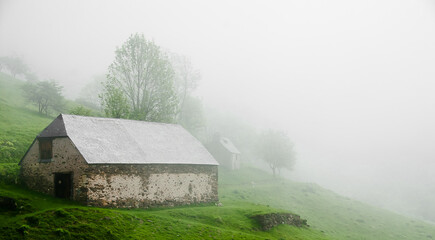 old farm house in the fog