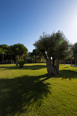 튀르키에 안탈리아 글로리아 골프리조트