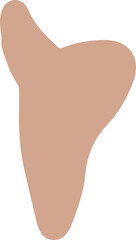 shape illustrator boho abstract