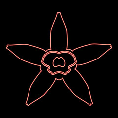 Neon vanilla flower red color vector illustration image flat style