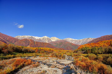 秋の白馬三山と松川（白馬大橋より）