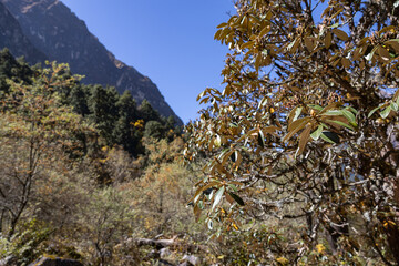 Nepal Manaslu Circuit Himalaya