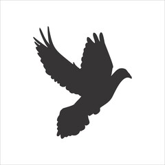 Obraz premium Beautiful black pigeon flying silhouette isolated on white background illustration 