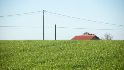 Tejado de granja  y postes de la luz tras loma de hierba verde  © Darío Peña
