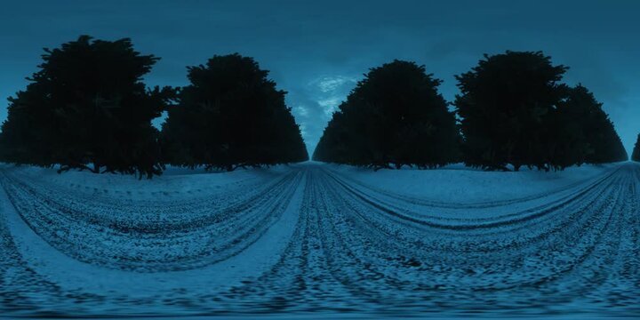 A 360VR experience of being totally alone in the middle of an ice road that runs through an arctic forest.