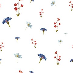 Flower blue red daisy pattern seamless watercolor