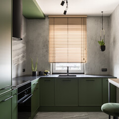 Modern kitchen with green furniture and concrete on walls