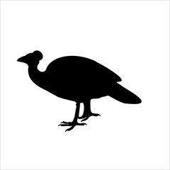 Beautiful black maleo bird silhouette isolated on white background illustration 
