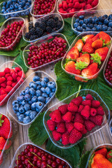 trays of various berries. greenhouse-grown fruit
