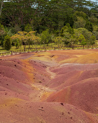 Chamarel Seven Colored Earth Geopark in Riviere noire district. Colorful panoramic landscape about this volcanic geological formation which is one of the big attracions in the island