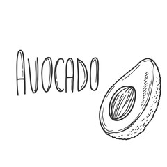Avocado vector hand drawn lettering with avocado illustration