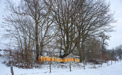 Fototapete bei efototapeten.de bestellen   