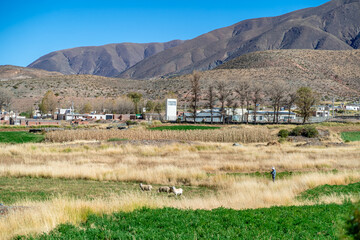 The mountain village of La Poma in the Argentine Andes