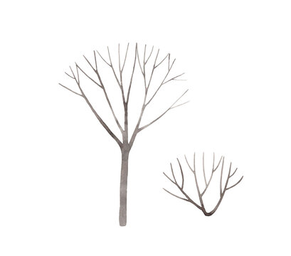 Watercolor hand painted winter trees illustration. Isolated bare tree and bush on white background.