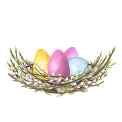 Willow spring nest watercolor with colored eggs isolated on white. Hand drawing Easter illustration design