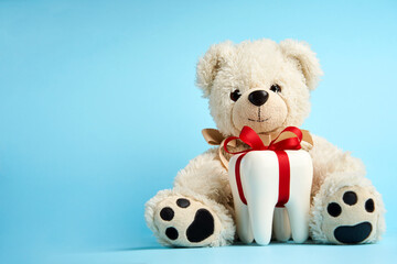 Children's dentistry concept. Teddy bear toy and white tooth model on blue background with copy space, close-up