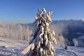Tatry, zima, Zakopane, śnieg, mróz, TPN