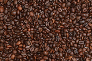 Detailed photo of coffee beans before being processed into a drink isolated on wood. Concept photo...