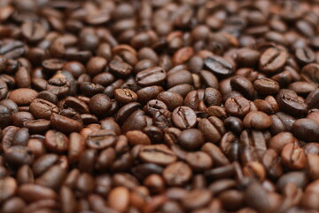 Detailed photo of coffee beans before being processed into a drink isolated on wood. Concept photo of the basic ingredients of coffee drinks.