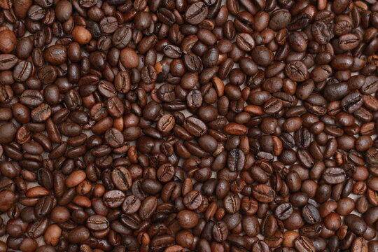 Detailed photo of coffee beans before being processed into a drink isolated on wood. Concept photo of the basic ingredients of coffee drinks.