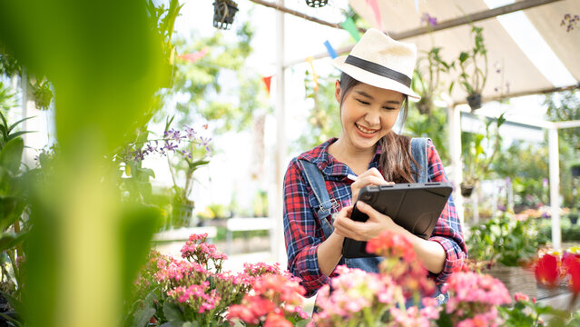 Portrait Asian Florist Reading Information On Tablet Computer. Multiracial Women Working Inside Greenhouse - Asia Woman Using Digital Tablet For Collecting Data Of Plant, Flower In Her Greenhouse.