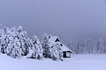 Zima w Tatrach, śnieg, mróz, zaspy, TPN, góry,  - obrazy, fototapety, plakaty