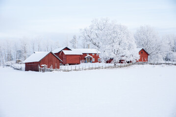 Farm barn and house in a cold winter landscape with snow and frost. Swedish landscape in winter.