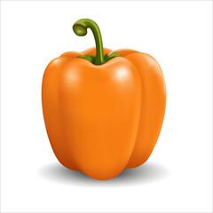 Sweet pepper - vector illustration