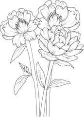 Sketch of a peony flower blossom peony hand-drawn vector illustration branch of leaves botanical collection pencil art isolates image on white background coloring books for children and adults.  