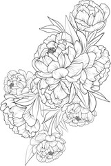 Hand-drawn peony flower bouquet vector sketch illustration engraved ink art botanical leaf branch collection, blossom peony drawing isolated on white background coloring page and books.