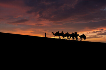 A group of tourist led by a local bedouin guide riding camels in the Sealine desert, Qatar.