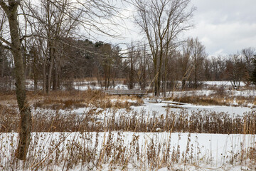 river in winter