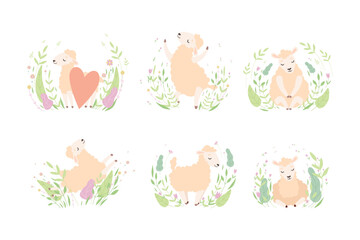 Cute Sheep Resting and Relaxing in Meadow Flowers Vector Set