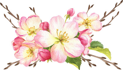 watercolor illustration with branches blooming apple tree