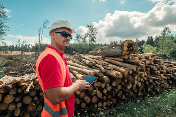 Forester in workwear and helmet standing with tablet in hands against stacked wooden logs. Forestry...