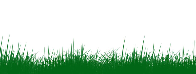 green grass background