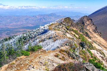Fototapeta premium 寒波に凍りついた低木の霧氷(長野県・浅間山外輪山)