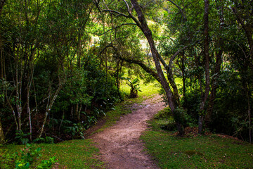 Obraz premium Caminho IMG_0390